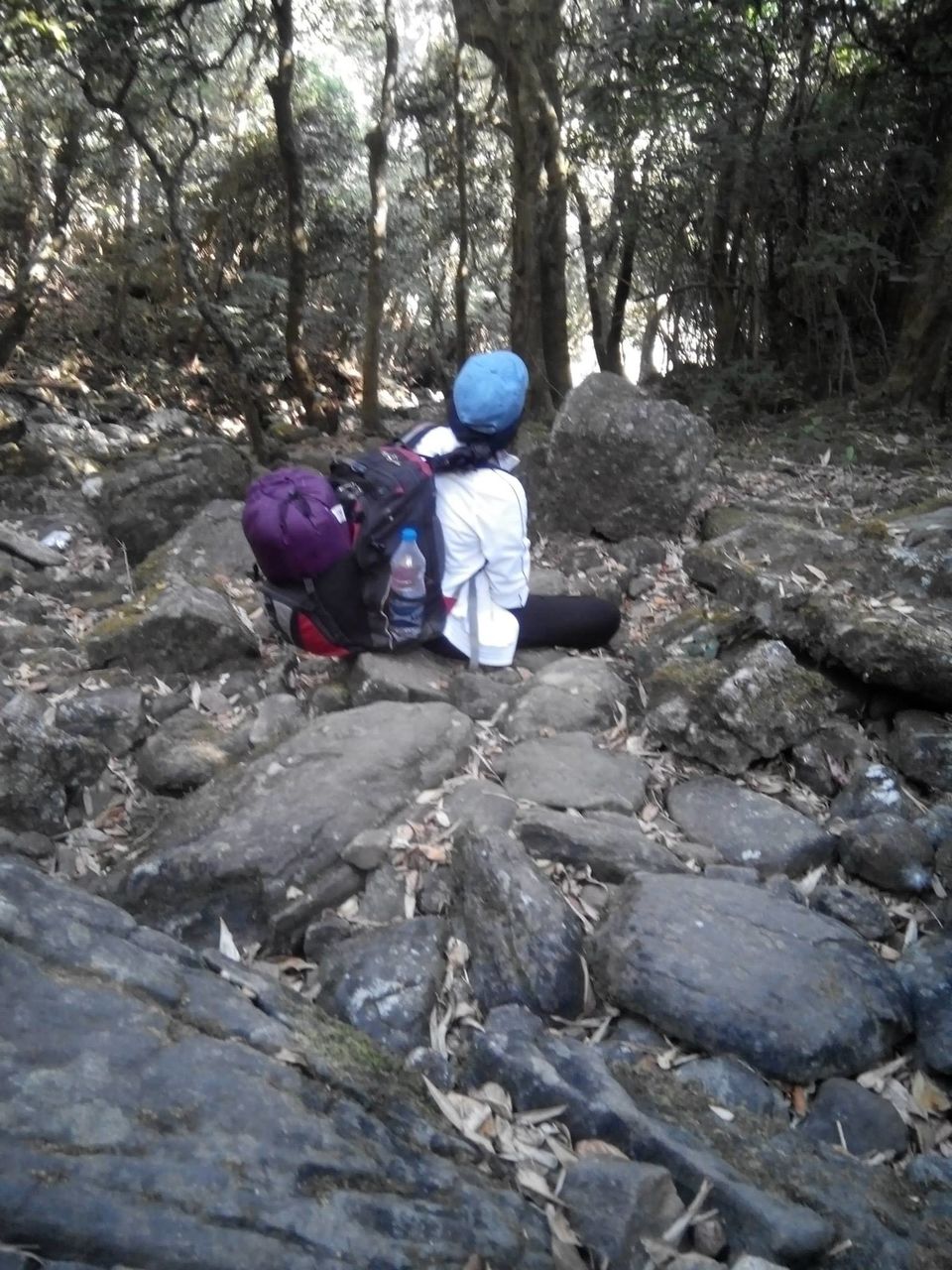 Photo of Kumara Parvata, A Weekend Trek 23/45 by Rini Biswas