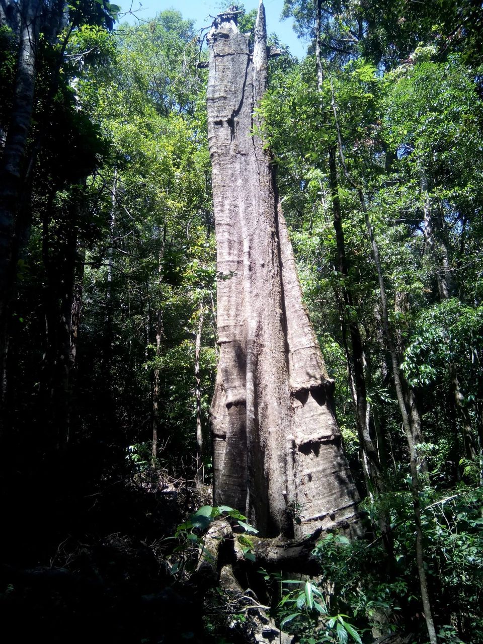 Photo of Kumara Parvata, A Weekend Trek 35/45 by Rini Biswas