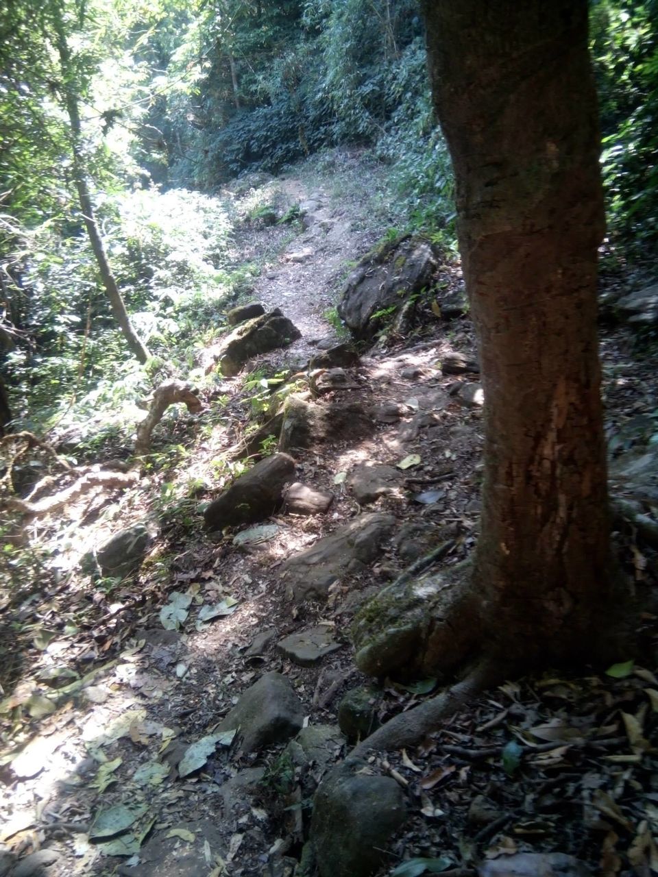 Photo of Kumara Parvata, A Weekend Trek 25/45 by Rini Biswas