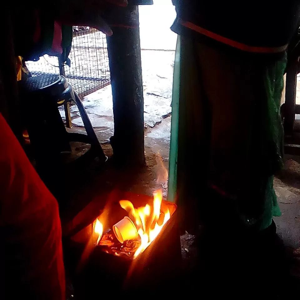 Photo of Vattakanal, Kodaikanal, Tamil Nadu, India by Rini Biswas