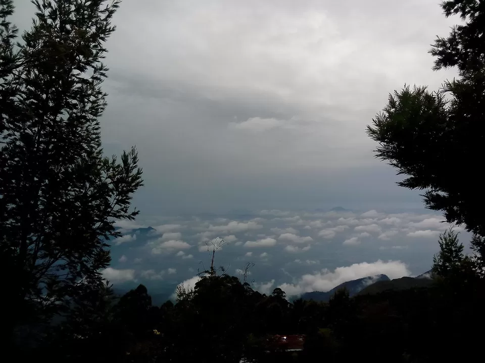 Photo of Vattakanal, Kodaikanal, Tamil Nadu, India by Rini Biswas