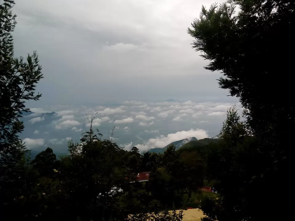 Photo of Vattakanal, Kodaikanal, Tamil Nadu, India by Rini Biswas