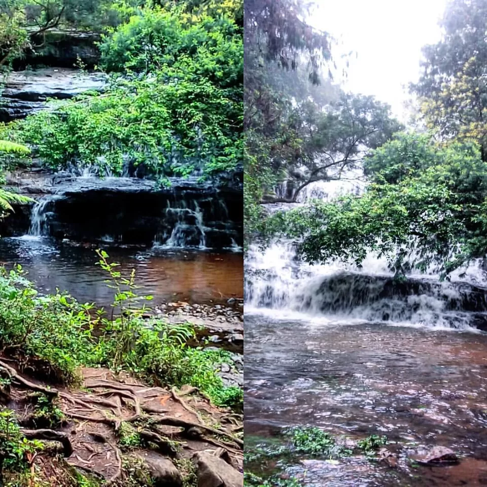 Photo of Vattakanal, Kodaikanal, Tamil Nadu, India by Rini Biswas