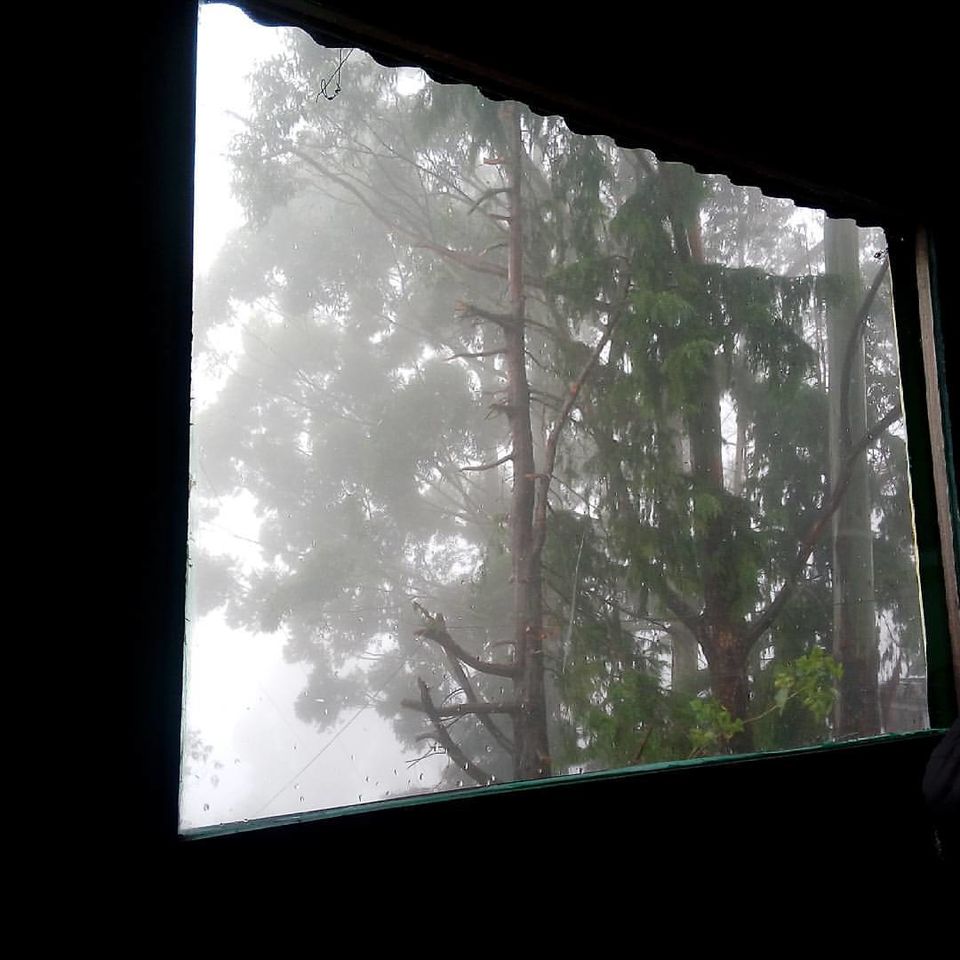 Photo of Altaf's Cafe, Vattakanal, Kodaikanal, Tamil Nadu, India by Rini Biswas