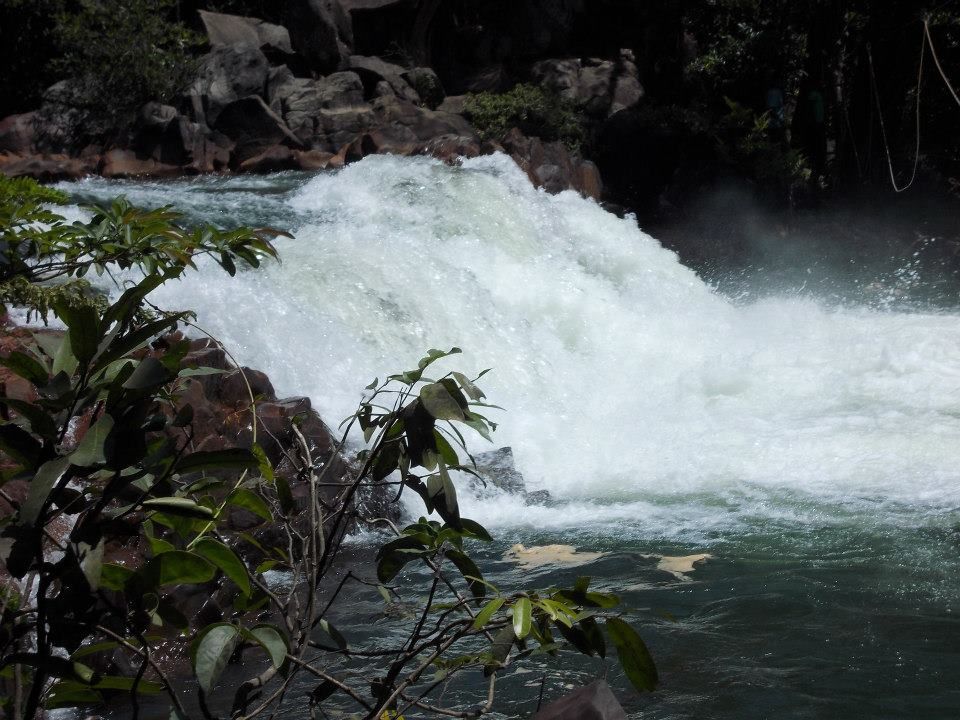 Photo of Frolicking in the White Water of River Kali, Dandeli 15/18 by Rini Biswas
