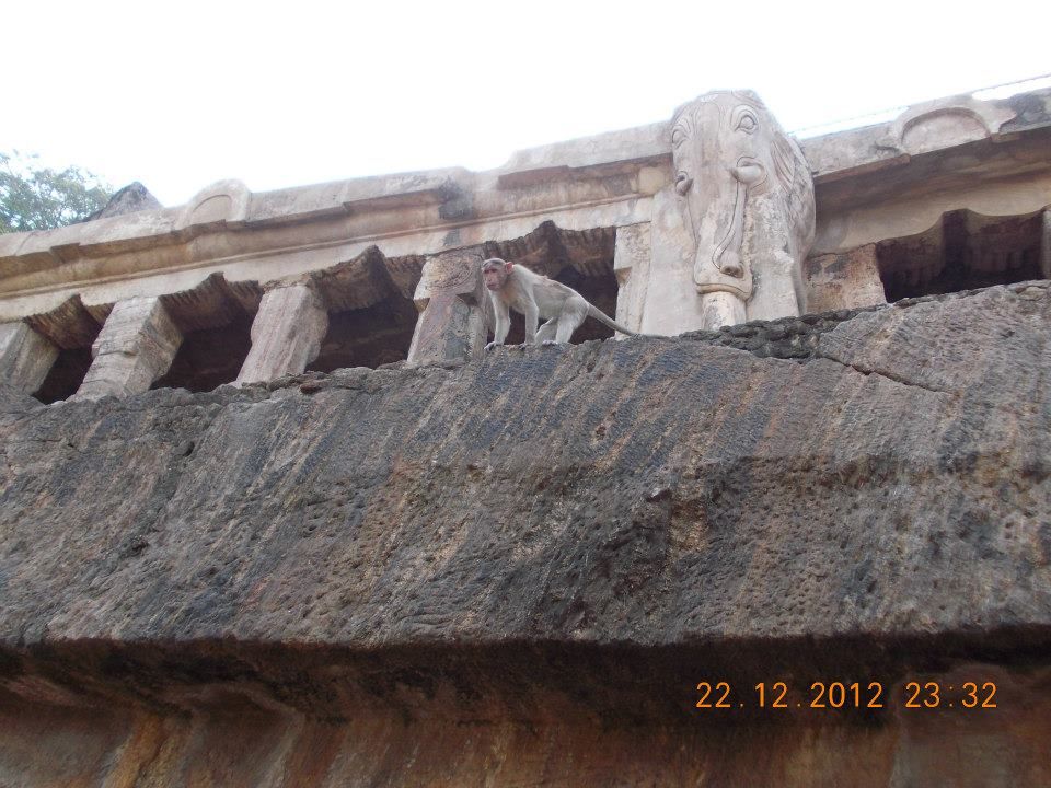 Photo of Trip to Raada & Bhavani Island, Vijayawada 4/22 by Rini Biswas