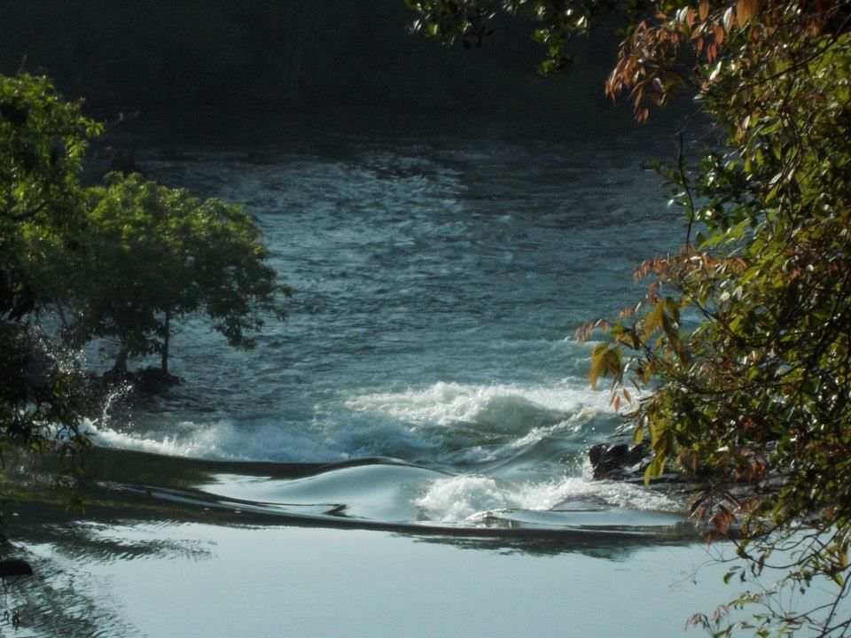 Photo of Frolicking in the White Water of River Kali, Dandeli 17/18 by Rini Biswas