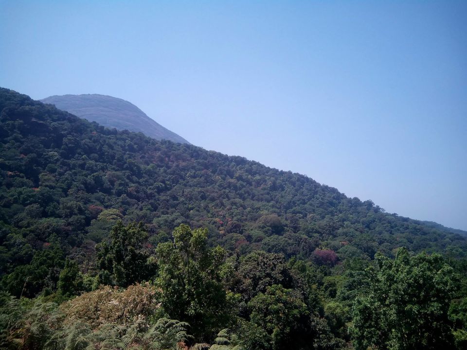 Photo of Kumara Parvata, A Weekend Trek 28/45 by Rini Biswas