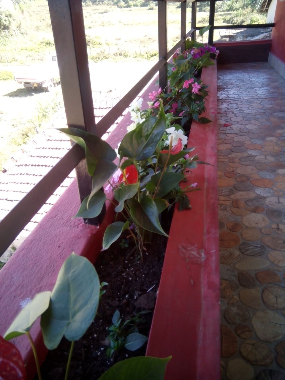 Photo of A Short & Sweet Affair with Madikeri, Coorg 3/24 by Rini Biswas