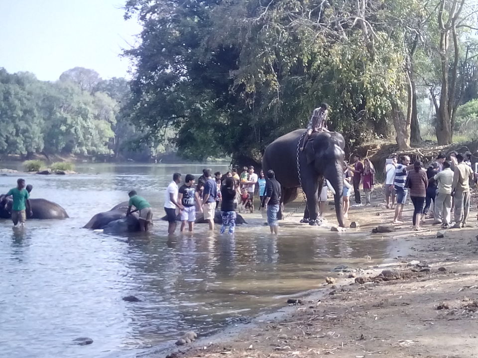 Photo of A Short & Sweet Affair with Madikeri, Coorg 6/24 by Rini Biswas