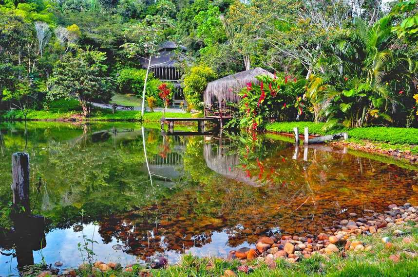 Photo of Ayahuasca Retreat with Yoga and Workshops for Spiritual Development by Spirit Vine Ayahuasca Retreat Center