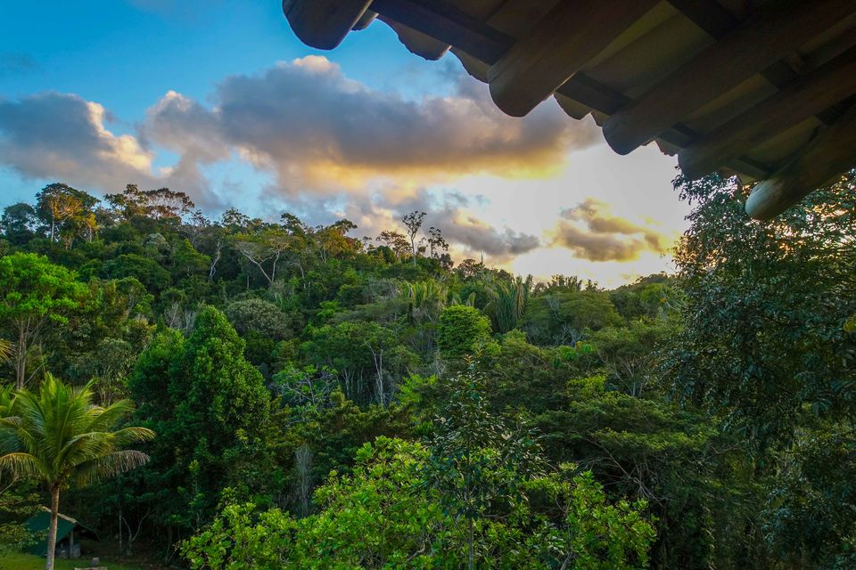 Photo of Ayahuasca Retreat with Yoga and Workshops for Spiritual Development 4/14 by Spirit Vine Ayahuasca Retreat Center