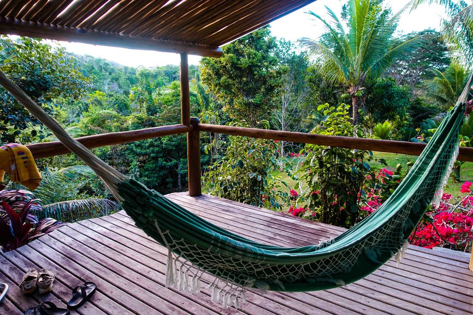 Photo of Ayahuasca Retreat with Yoga and Workshops for Spiritual Development 5/14 by Spirit Vine Ayahuasca Retreat Center