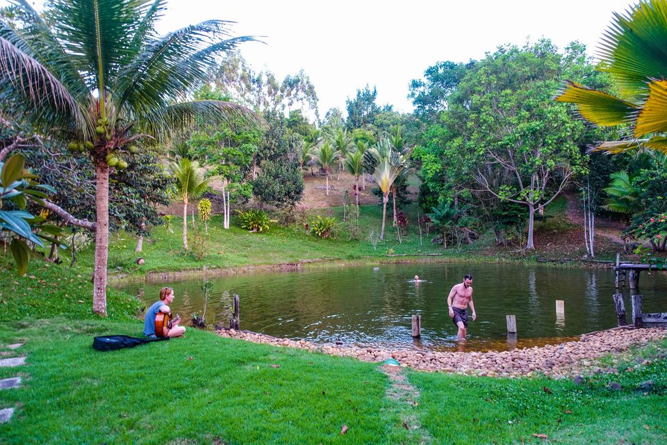 Photo of Ayahuasca Retreat with Yoga and Workshops for Spiritual Development 6/14 by Spirit Vine Ayahuasca Retreat Center