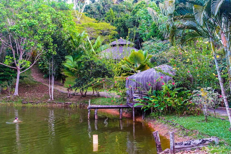 Photo of Ayahuasca Retreat with Yoga and Workshops for Spiritual Development 7/14 by Spirit Vine Ayahuasca Retreat Center