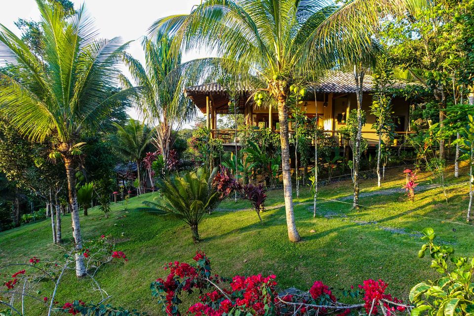 Photo of Ayahuasca Retreat with Yoga and Workshops for Spiritual Development 1/14 by Spirit Vine Ayahuasca Retreat Center