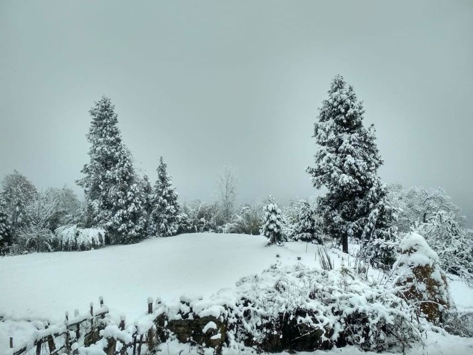 Photo of Munsiyari : This Must Be The Place Where God Chose To Cuddle #romantictrip by Suhas Aithal