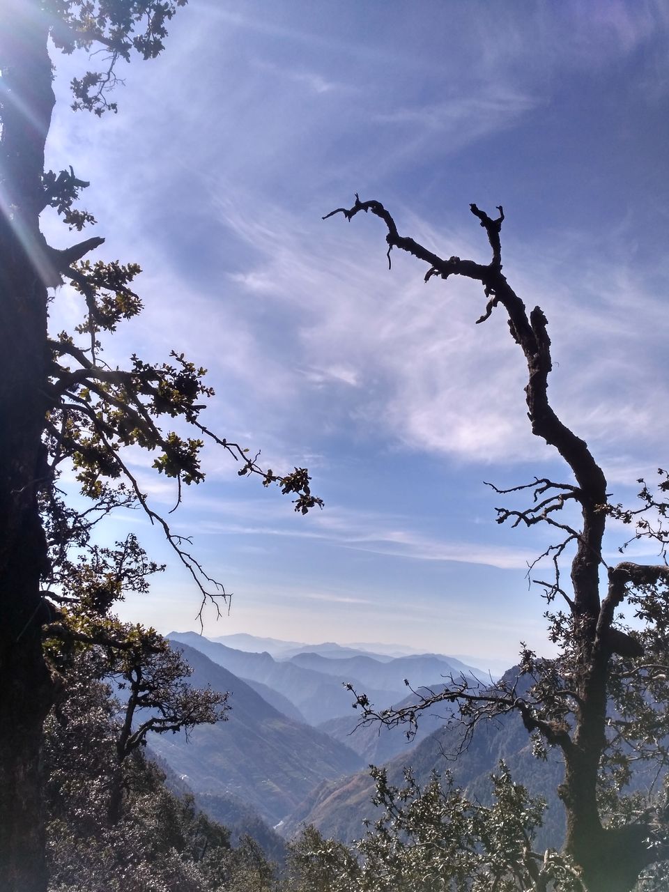 Photo of Munsiyari : This Must Be The Place Where God Chose To Cuddle #romantictrip by Suhas Aithal