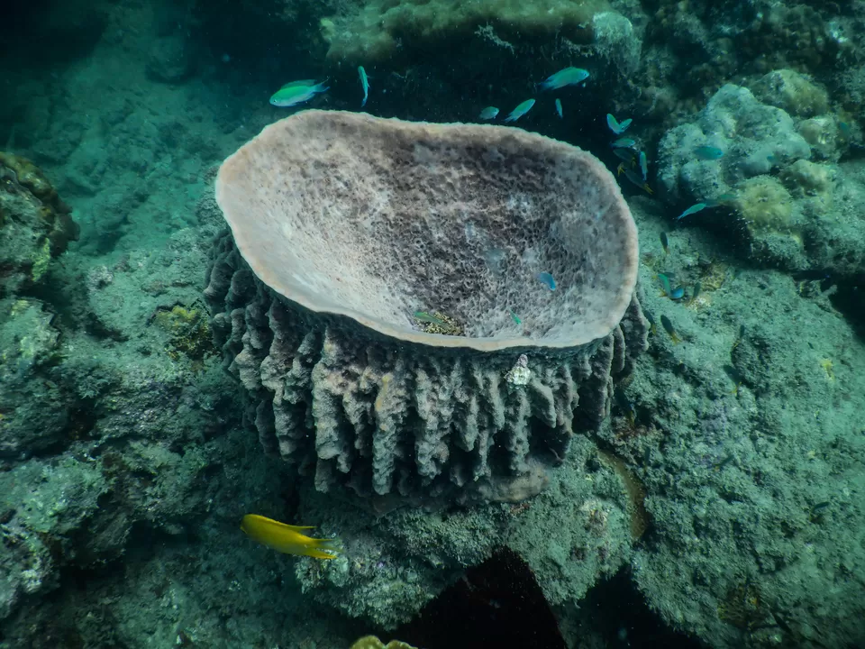 Photo of Andaman Sea by Disha Sharma