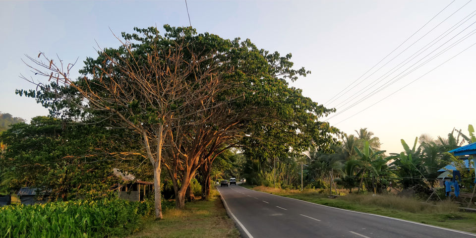 Photo of Andaman and Nicobar Islands, India by Disha Sharma