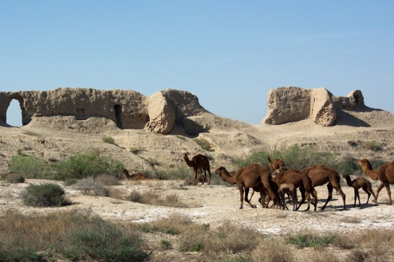 Photo of Mary, Türkmenistan by Compass Tour