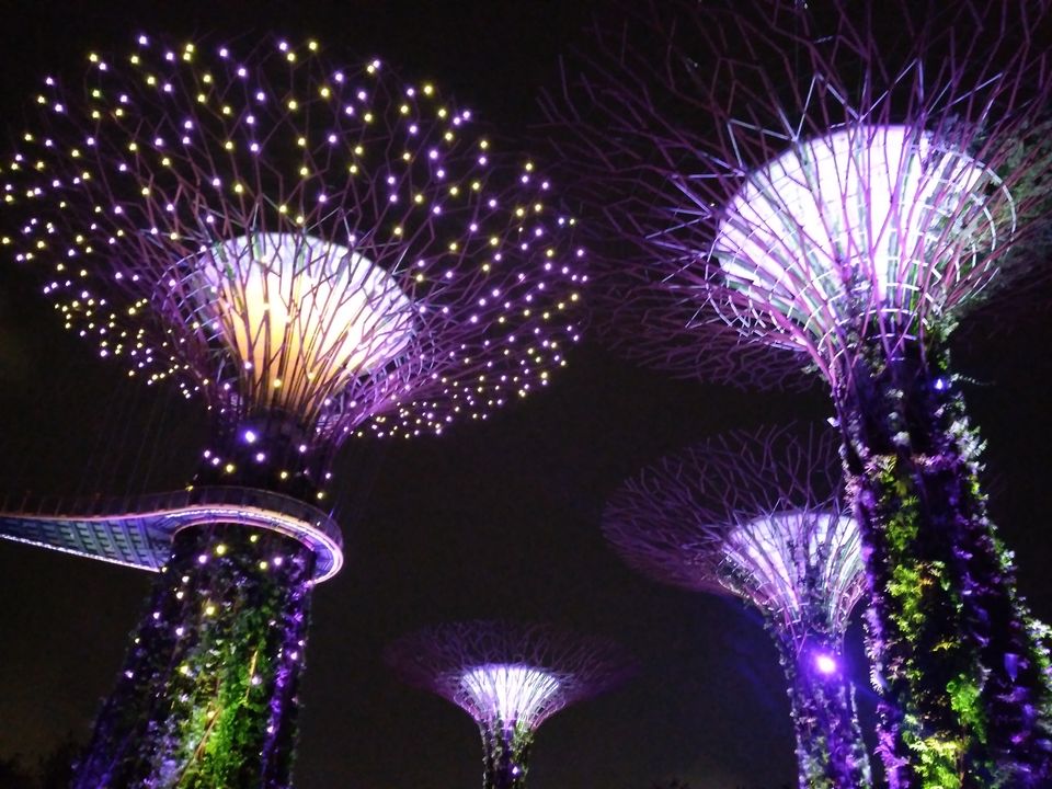 Photo of Singapore- 5 Day itinerary (Family) by Kavitha Preetha