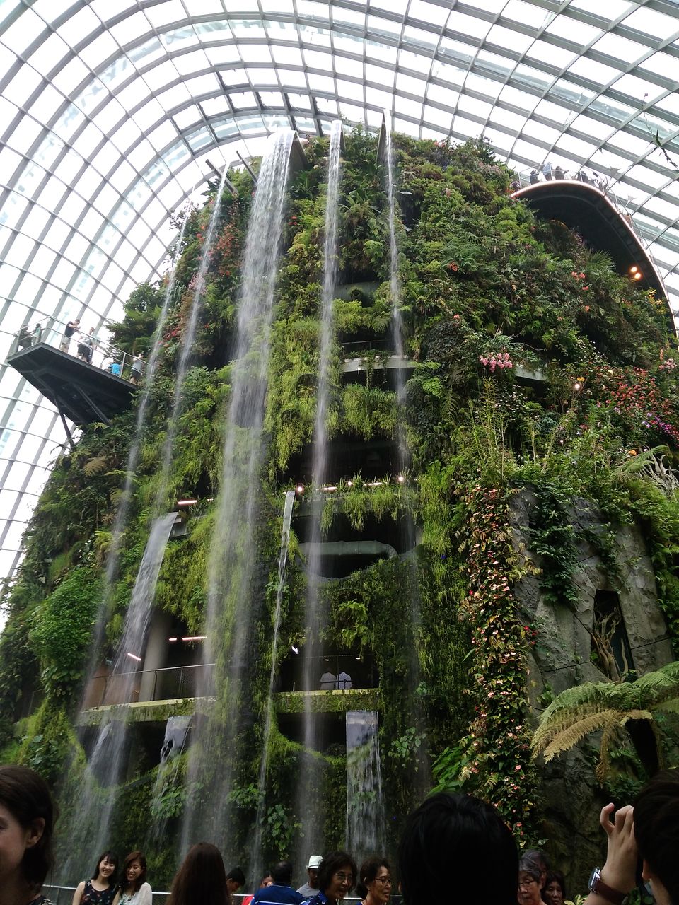 Photo of Gardens By The Bay East, Singapore by Kavitha Preetha