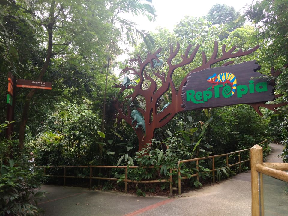 Photo of Singapore Zoo, Singapore by Kavitha Preetha
