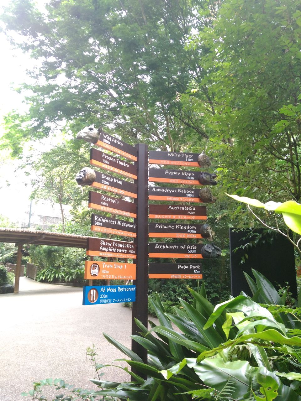 Photo of Singapore Zoo, Singapore by Kavitha Preetha