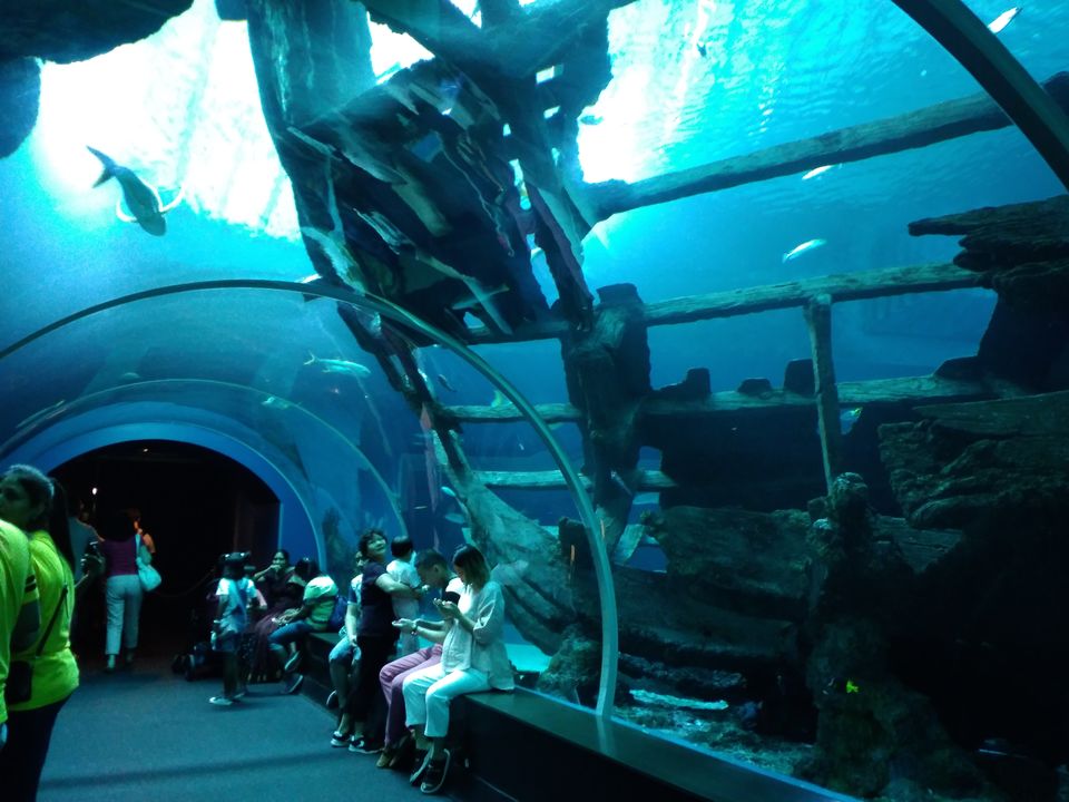 Photo of Singapore- 5 Day itinerary (Family) by Kavitha Preetha