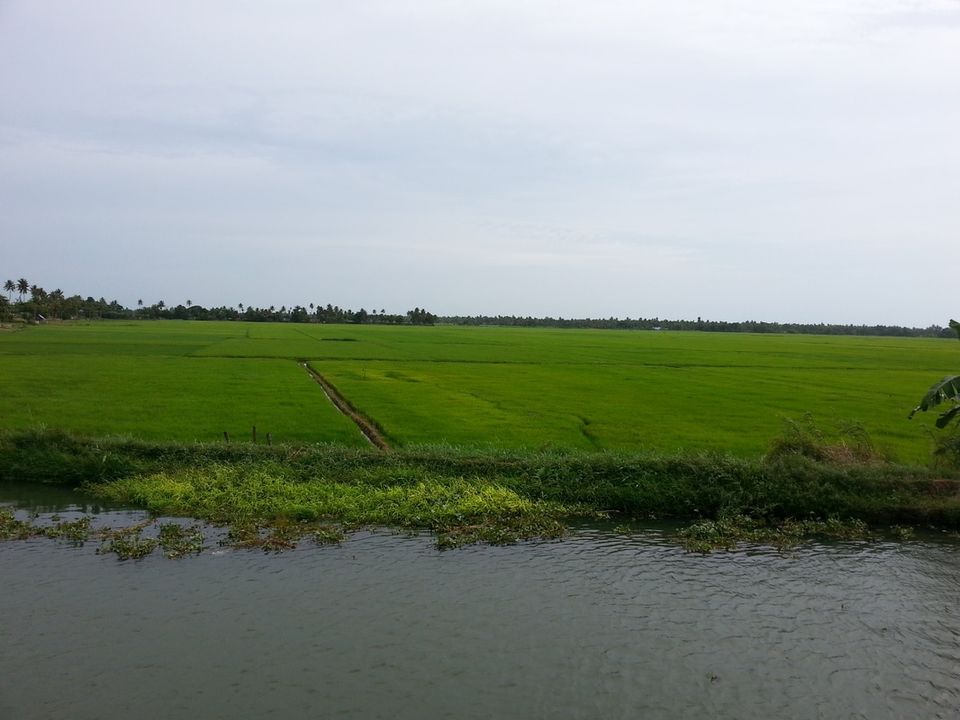 Photo of Kerala Kayaking Alappuzha, Alappuzha, Kerala, India by Kavitha Preetha