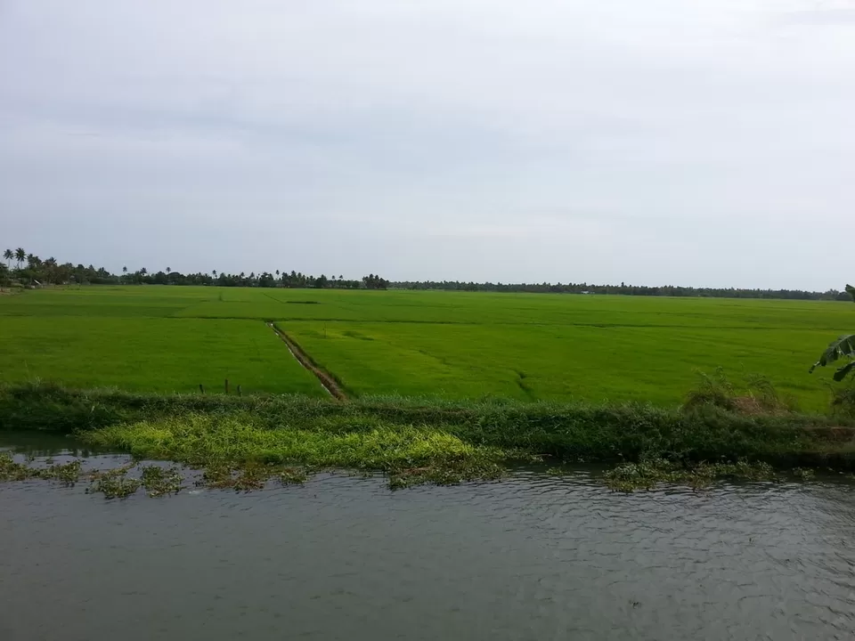 Photo of Kerala Kayaking Alappuzha, Alappuzha, Kerala, India by Kavitha Preetha