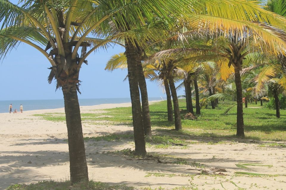 Photo of Marari Beach, Alappuzha, Kerala, India by Kavitha Preetha