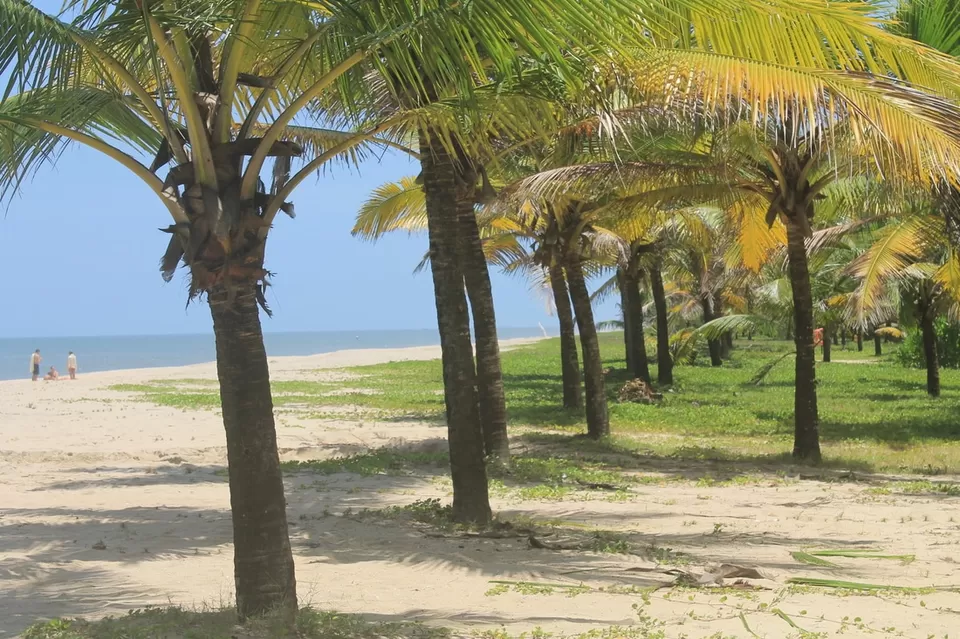 Photo of Marari Beach, Alappuzha, Kerala, India by Kavitha Preetha