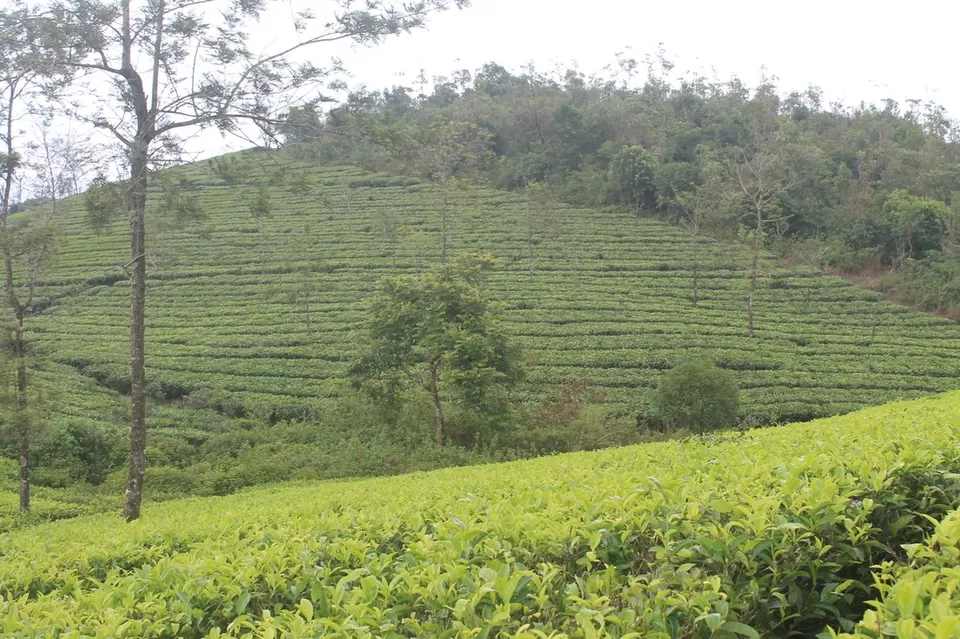 Photo of Vagamon, Kerala, India by Kavitha Preetha