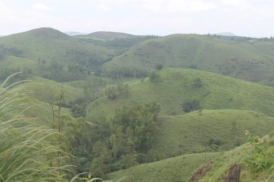 Photo of 3 days in
Alapuzha & Vagamon by Kavitha Preetha