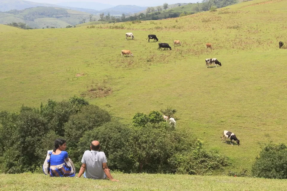 Photo of 3 days in
Alapuzha & Vagamon by Kavitha Preetha
