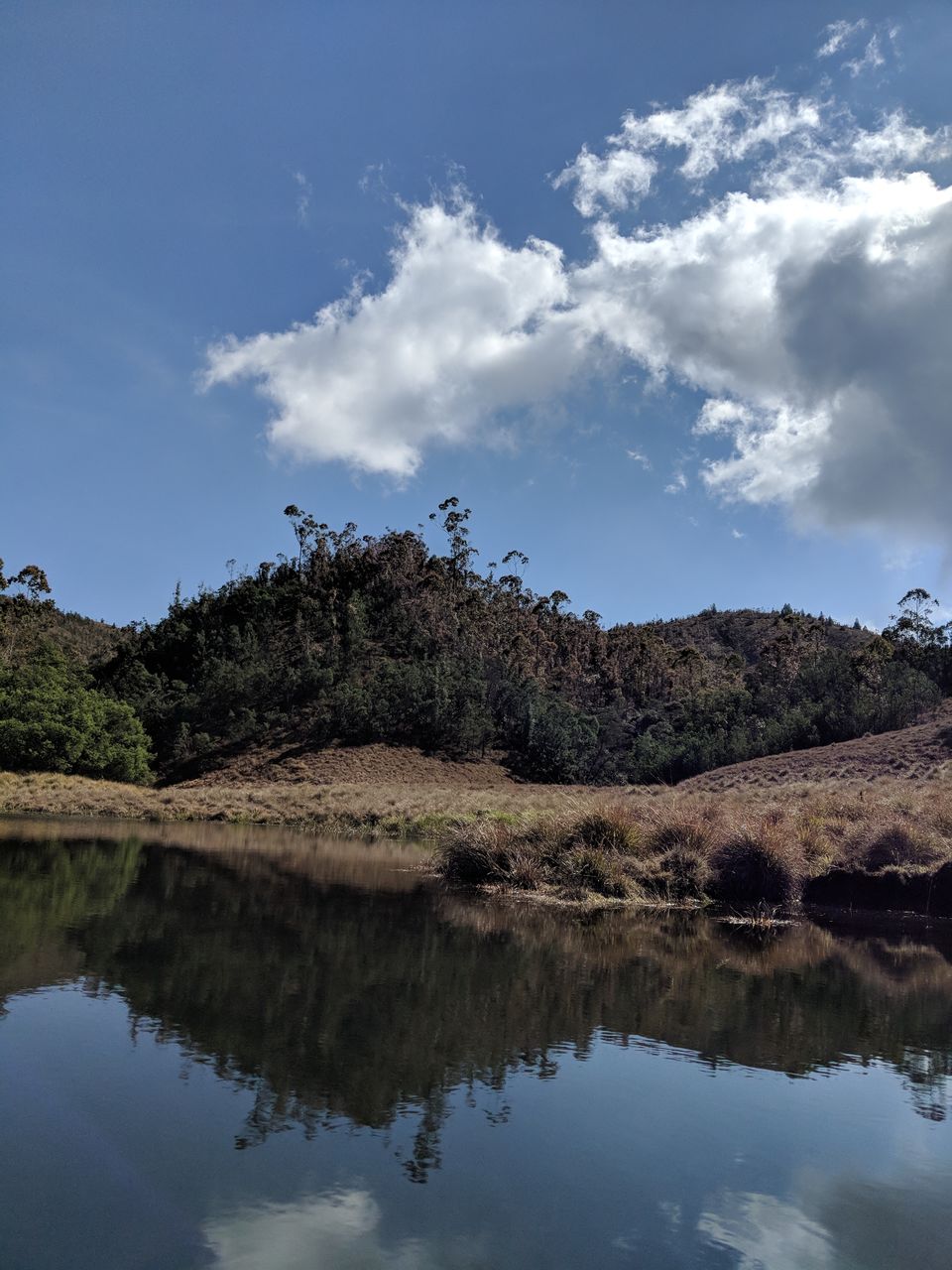 Photo of Meeshapulimala - The one trek you shouldn't miss when in Kerala! by Kavitha Preetha