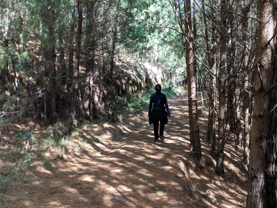 Photo of Meeshapulimala - The one trek you shouldn't miss when in Kerala! by Kavitha Preetha
