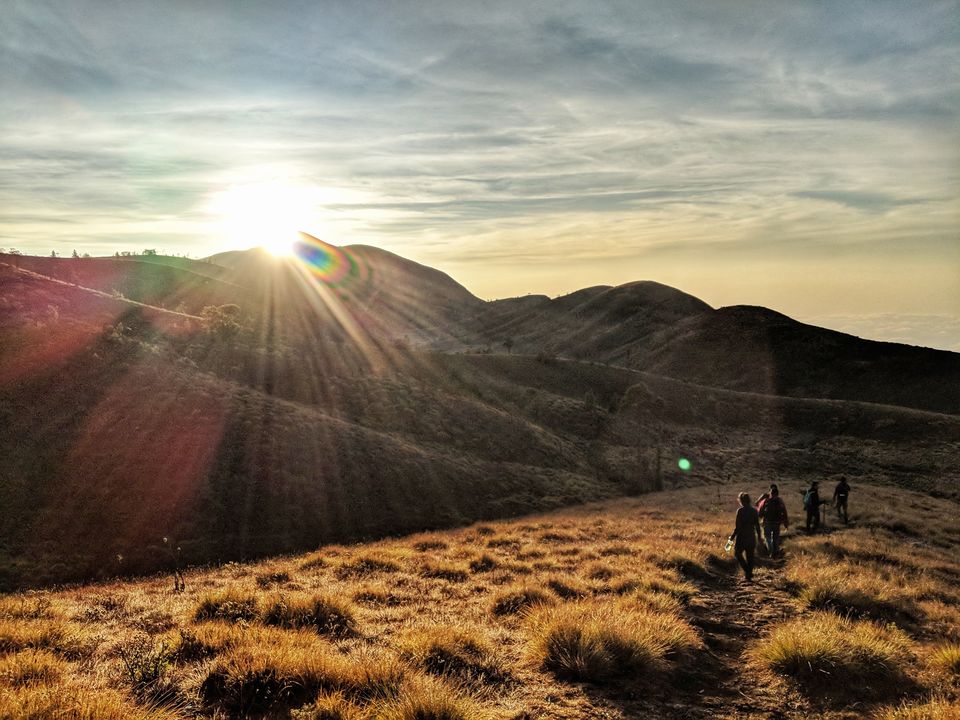 Photo of Meeshapulimala - The one trek you shouldn't miss when in Kerala! by Kavitha Preetha