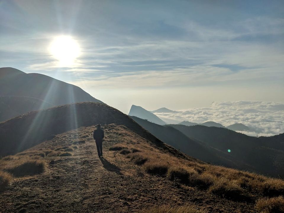 Photo of Meeshapulimala - The one trek you shouldn't miss when in Kerala! by Kavitha Preetha