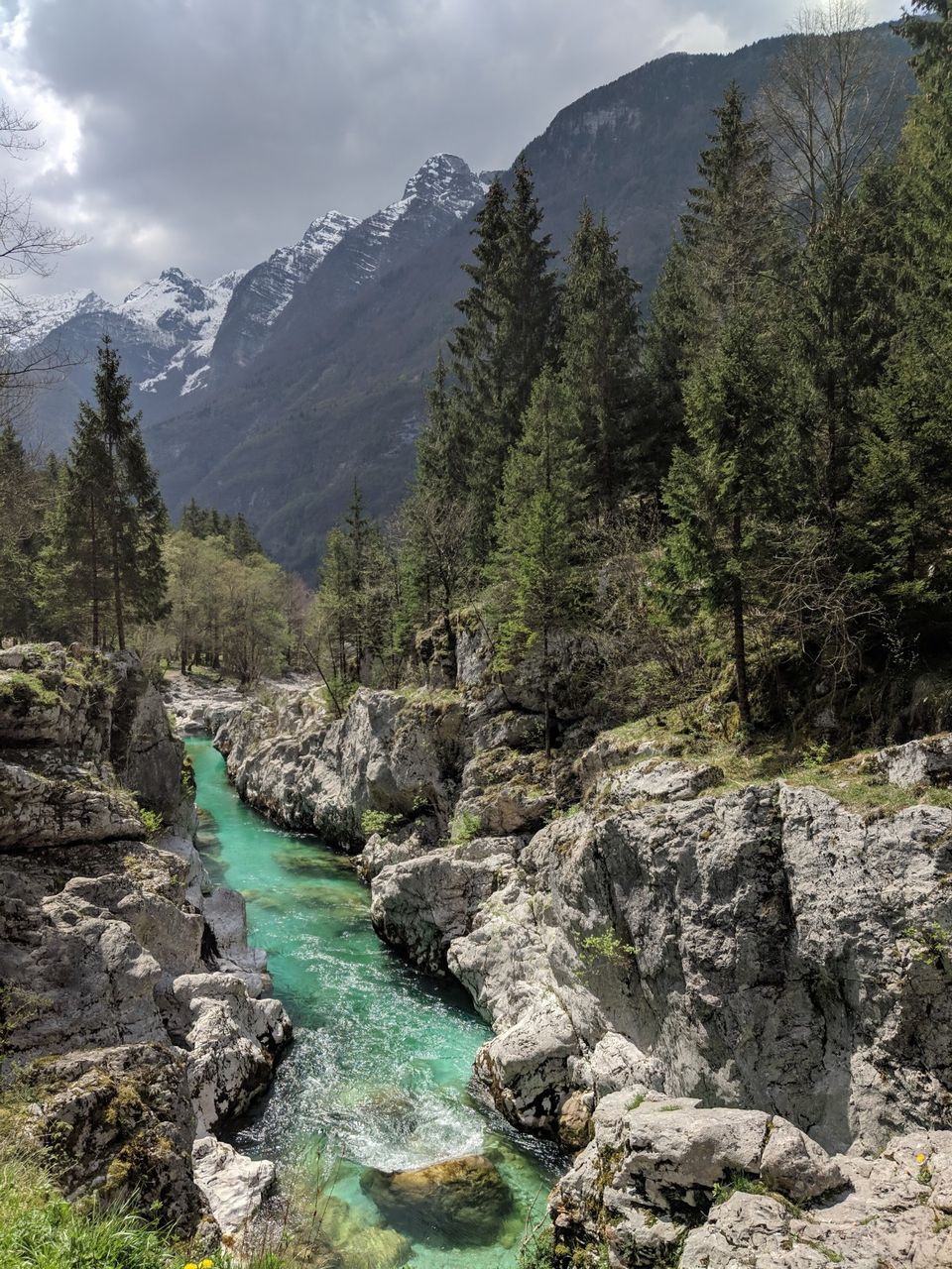 Photo of Soča, Slovenia by Kavitha Preetha