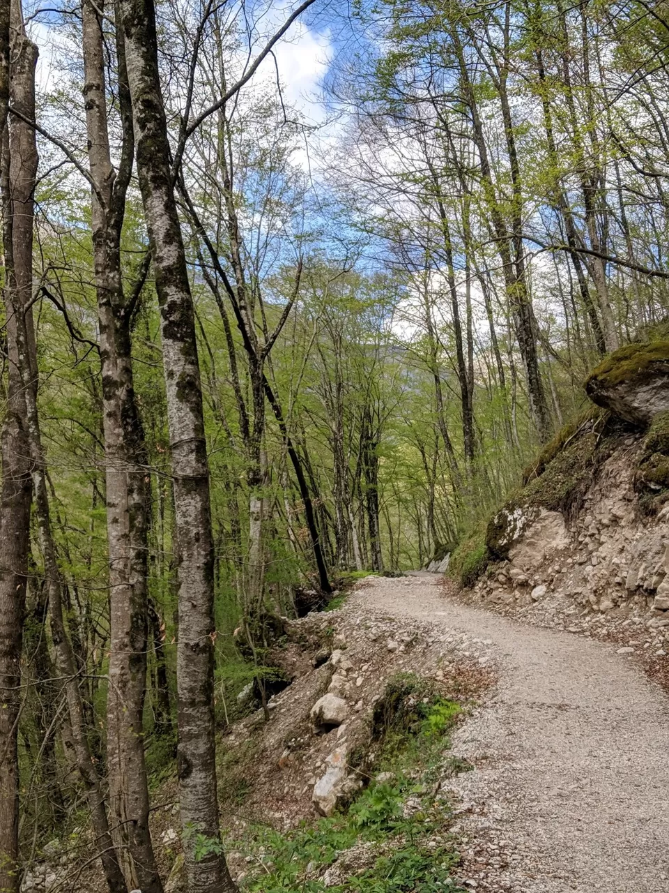 Photo of Kozjak-Fall, Kobarid, Slovenia by Kavitha Preetha
