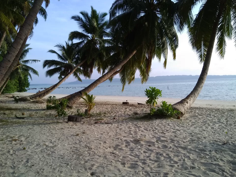 Photo of Havelock Island, Andaman and Nicobar Islands by Vikas Sharma