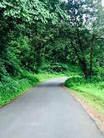 Photo of A revivifying weekend junket to Ganpatipule, Ratnagiri and Chiplun 3/7 by Deval Haria