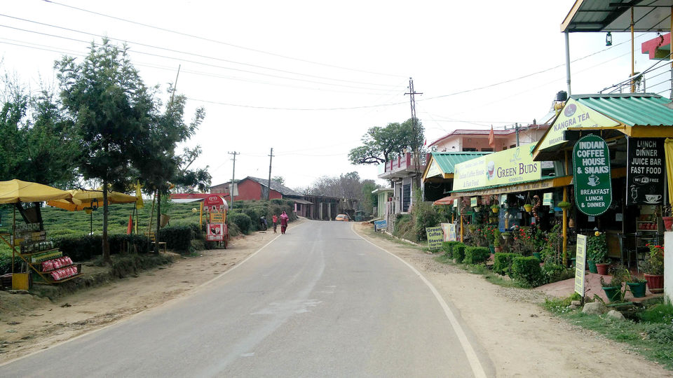 Photo of Palampur, Himachal Pradesh, India by Beparwah Parinda
