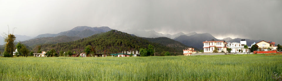 Photo of Palampur, Himachal Pradesh, India by Beparwah Parinda
