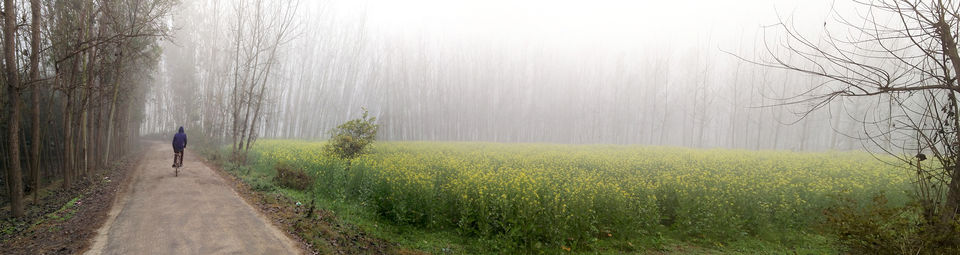 Photo of Mohand Range, Uttarakhand, India by Beparwah Parinda