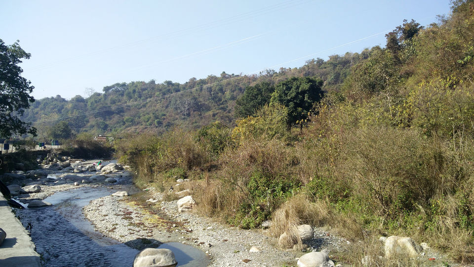 Photo of Robber's Cave, Malsi, Dehradun, Uttarakhand, India by Beparwah Parinda