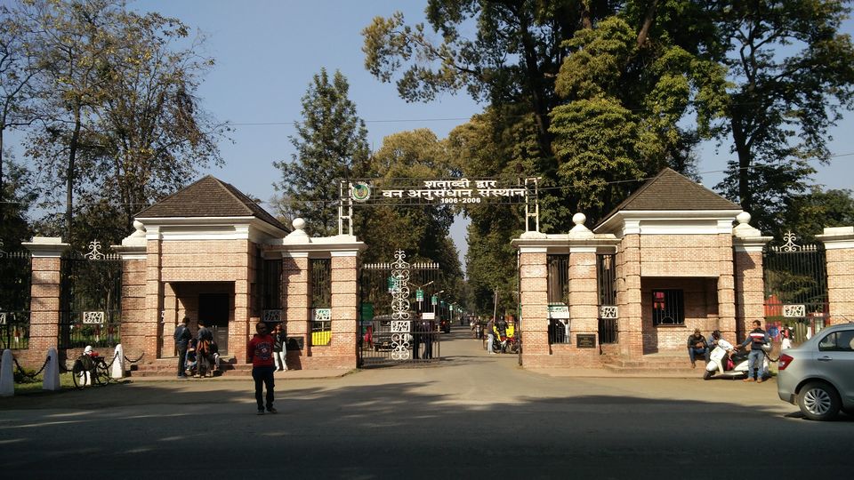 Photo of Forest Research Institute (FRI Dehradun), Chakarata Rd, New Forest, P.O, Indian Military Academy, Dehradun, Uttarakhand, India by Beparwah Parinda